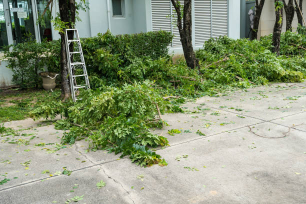 Best Aeration Services  in Newport, TN