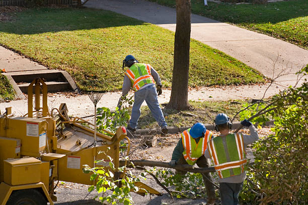 Best Pest Control for Lawns  in Newport, TN